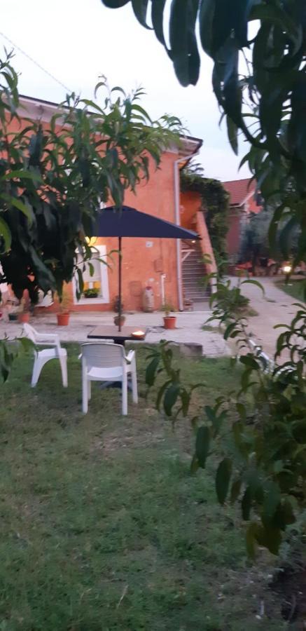 Il Glicine Bed & Breakfast Chieti Dış mekan fotoğraf