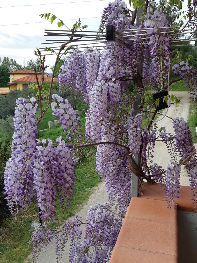 Il Glicine Bed & Breakfast Chieti Dış mekan fotoğraf