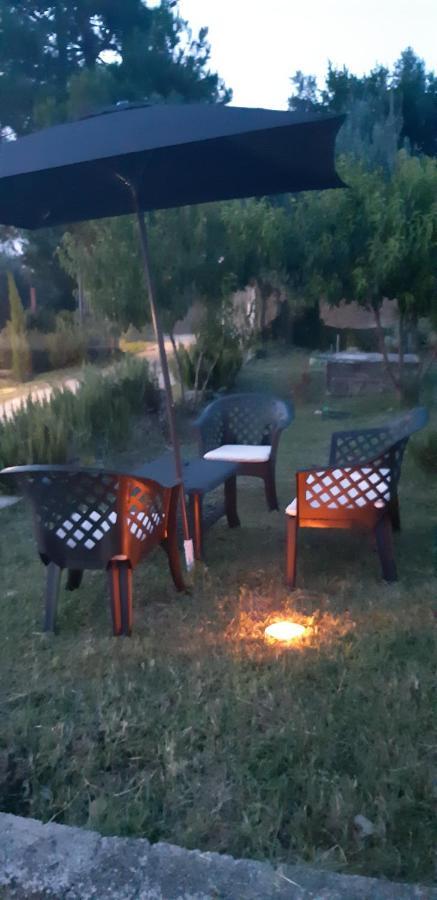 Il Glicine Bed & Breakfast Chieti Dış mekan fotoğraf